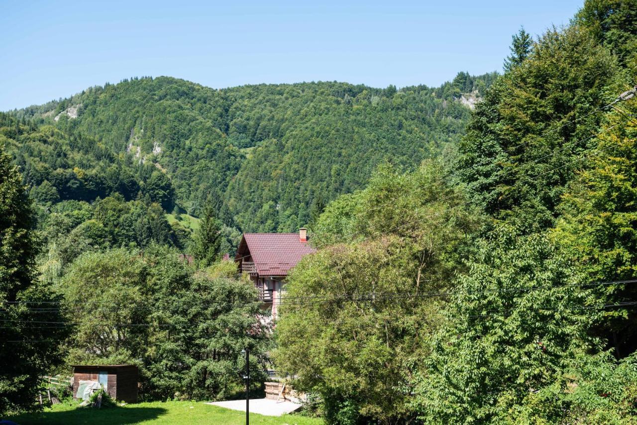 Oasis Mountain Villa Μπρασόβ Εξωτερικό φωτογραφία